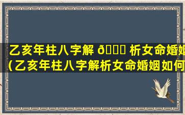 乙亥年柱八字解 🐝 析女命婚姻（乙亥年柱八字解析女命婚姻如何）